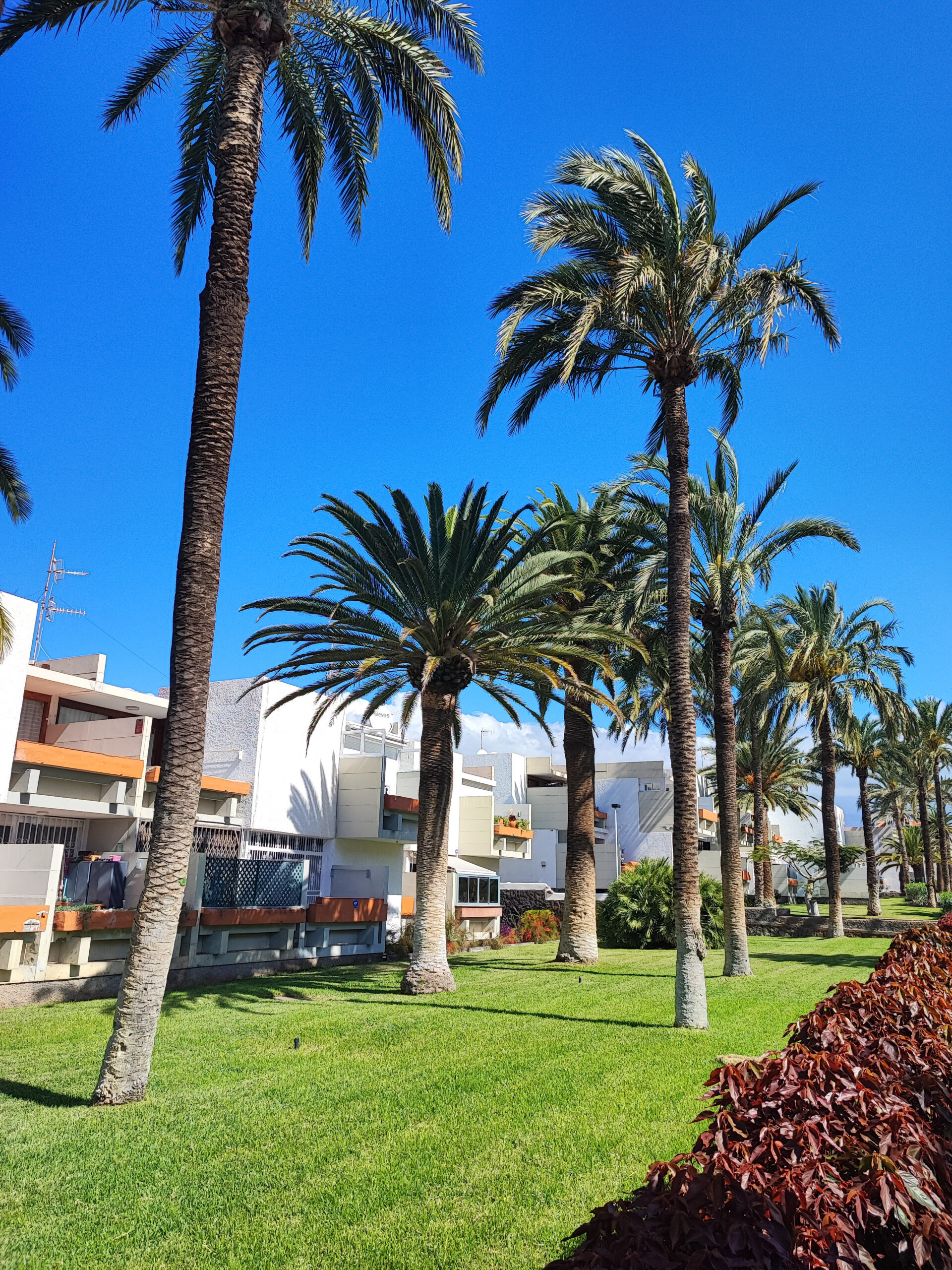 2025_04_13_11192025-04-13 11.19.44