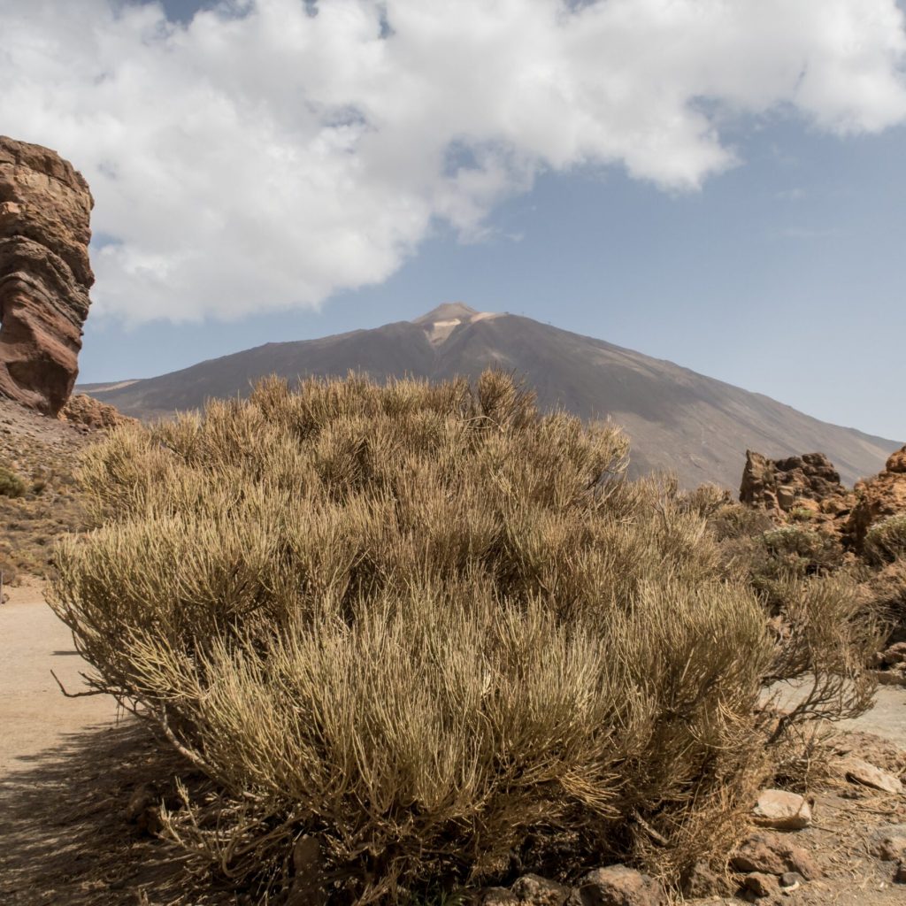 El Teide